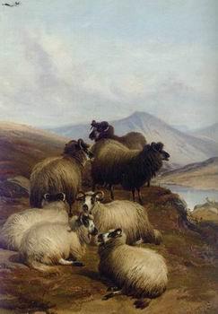 unknow artist Sheep 192 oil painting image